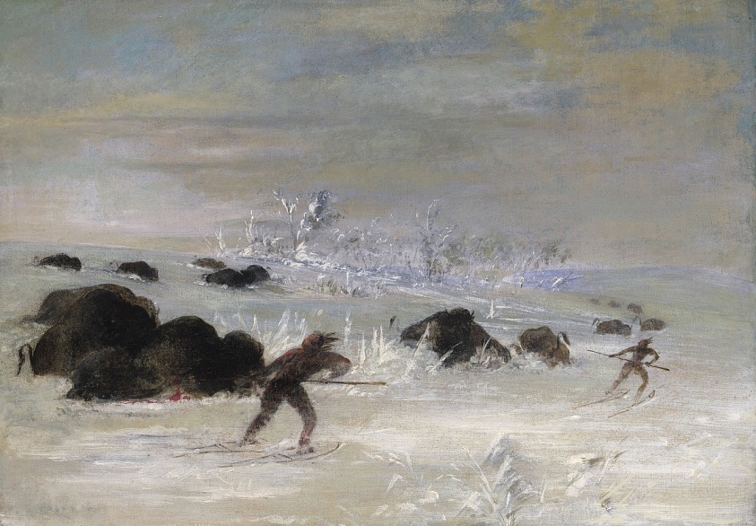 Assiniboine Indians Pursuing Buffalo on Snowshoes